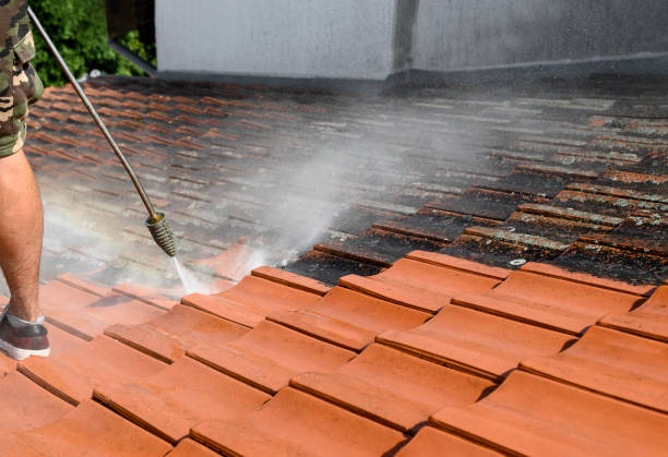 Best Deck Cleaning Services  in Marcus, IA